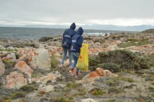 Coastal Cleanup 3