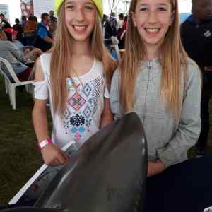 Hermanus Whale Festival 2019 - Shark smiles