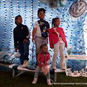 Hermanus Whale Festival 2019