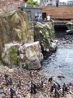 news_bristolzoo