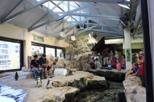 Hayley McLellan and one of the Penguin Volunteers, Andrew, next to the donated artificial nest from the DICT