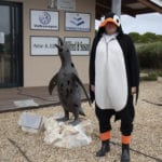 Gerhard the APSS penguin man