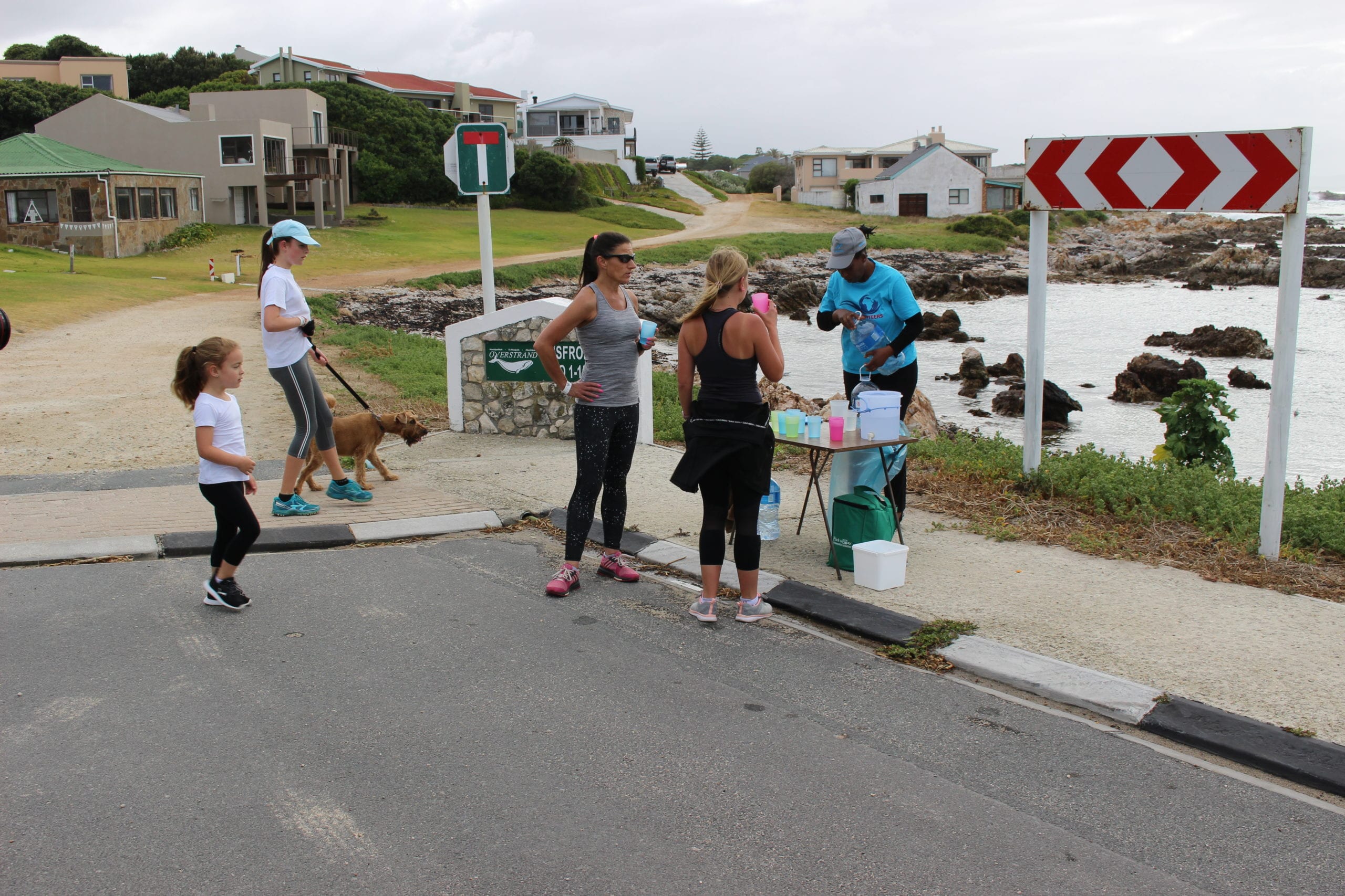 March for the Penguins water table