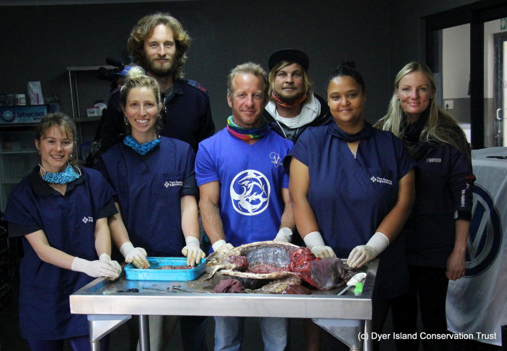 L R Genevieve Bergmann, Talitha Noble, Ralph Watson, Brandon Spolander, Dickie Chivell, Inge Adams, Alison Towner