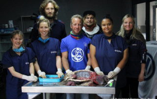 L R Genevieve Bergmann, Talitha Noble, Ralph Watson, Brandon Spolander, Dickie Chivell, Inge Adams, Alison Towner