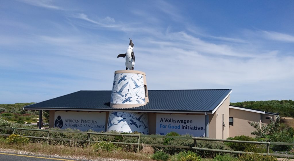 African Penguin & Seabird Sanctuary