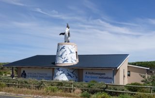 African Penguin & Seabird Sanctuary