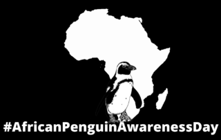 #african Penguin Awareness Day 2