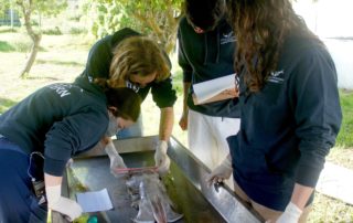 Ralph Watson And Marine Dynamics Academy Interns (1)