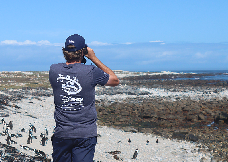 Disney Conservation Fund Seabird Ranger