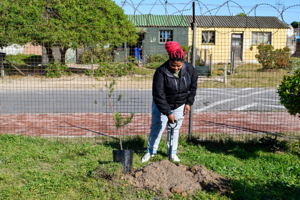 Arborday 3