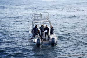 ATAP Receiver deployment, Dyer Island Conservation Trust