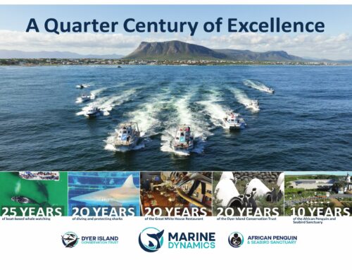 A Quarter Century of Excellence: Celebrating 25 Years of Marine Dynamics