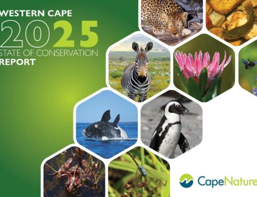 Protecting nature — a shared responsibility.