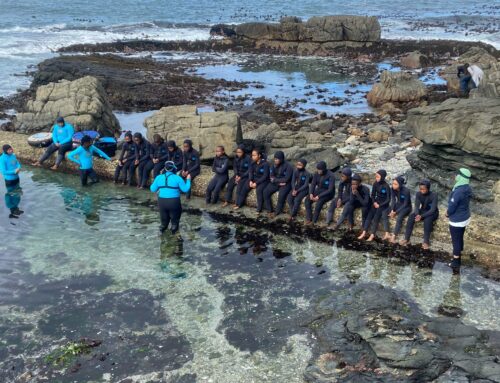 DEEP Blue Ambassadors explore the Cape Whale Coast Hope Spot for MPA Day 2025