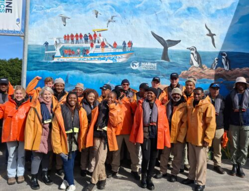 Celebrating World Ranger Day – A Whale of a Thank You to Our CapeNature Heroes