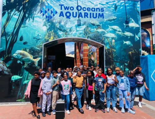 DEEP Kids Dive into Discovery at the Two Oceans Aquarium