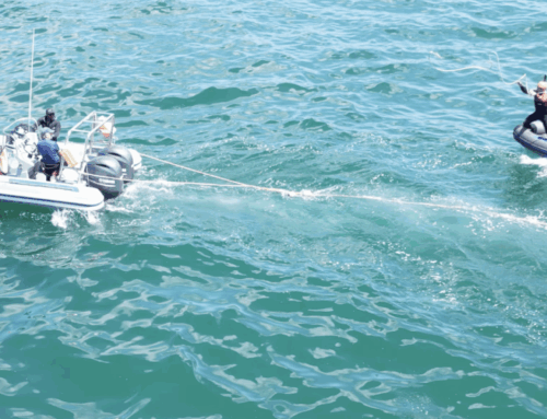 Marine Dynamics, Saving Whales for 25 Years!