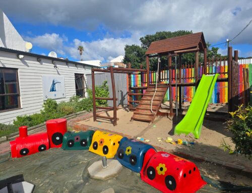 From Penguin Penthouse to Puppy Palace – One Great Idea, Countless Smiles