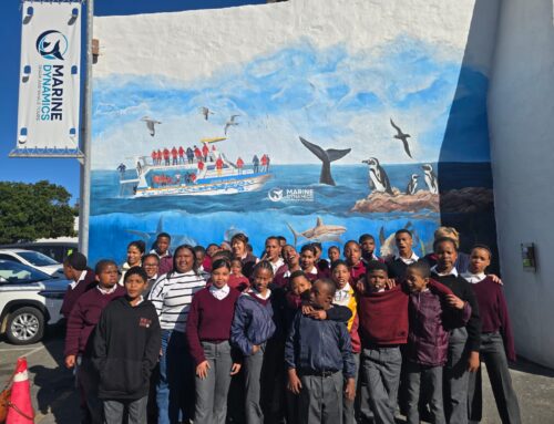 A Special Day in Gansbaai: Mispah Learners Discover the Marine Big 5