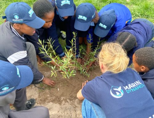 My Tree, My Oxygen: DEEP Kids Plant for the Future This Arbour Week