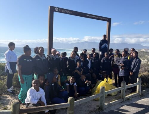Exploring Klipgat Cave and Caring for Our Coastline: DEEP Blue Ambassadors at Die Plaat