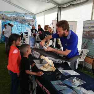 Hermanus Whale Festival 2019 Enviro Education in action