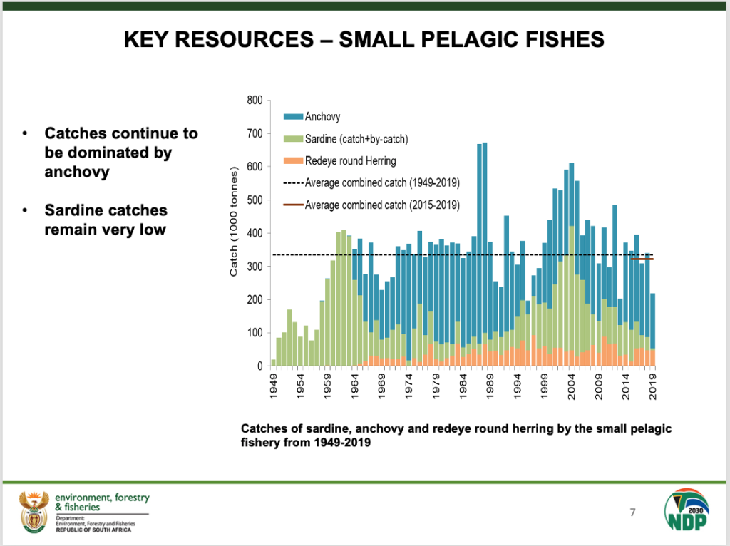 Small Pelagic Fish Resources 1984 - 2019