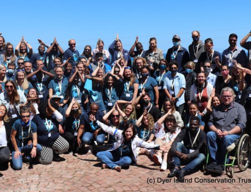 Science And Conservation On The Agenda At The 6th Southern African Shark And Ray Symposium