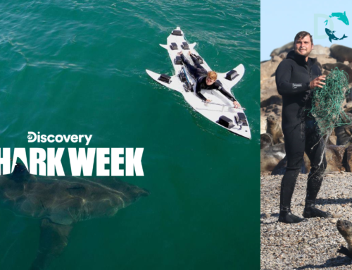 Enter, Donate, Action! You can help us save our sharks.