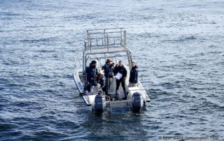 ATAP Receiver deployment, Dyer Island Conservation Trust