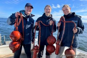 ATAP Receiver deployment, Dyer Island Conservation Trust