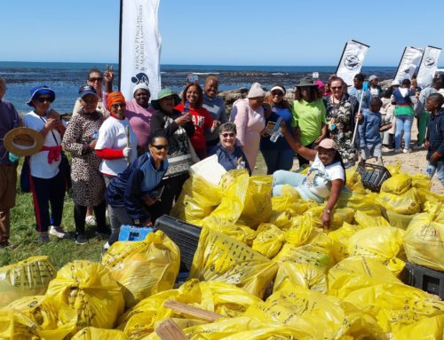 International Coastal Clean-up Day: Volunteers Unite for a Sweeping Success at Danger Point