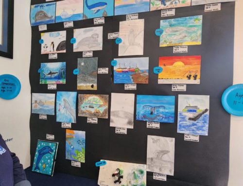 Overstrand Learners showcase creativity during Marine Month.